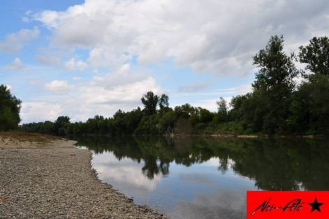 tisza1.jpg